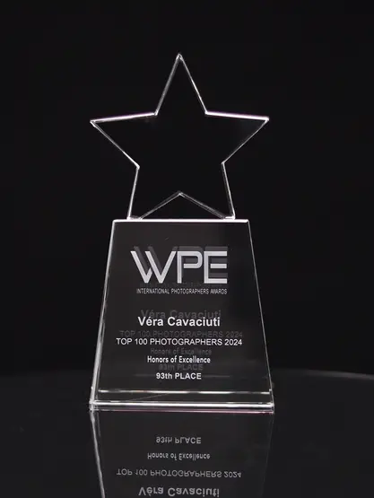 🎖 WPE Awards 2024 : Une nouvelle reconnaissance internationale pour Bella Véra Studio