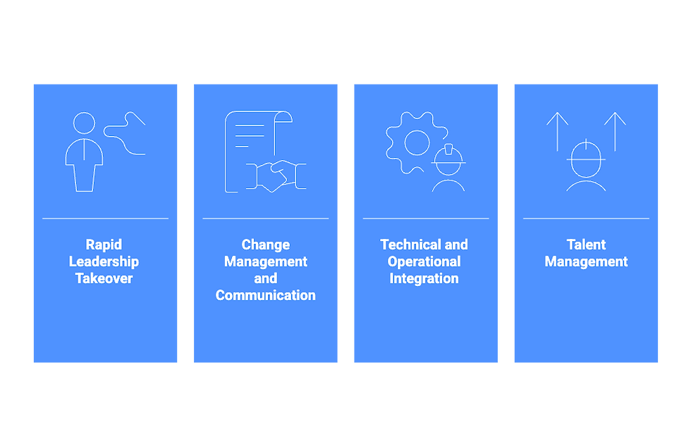 Interim Managers' Key responsibilities and Competencies provided by Friedhelm Best