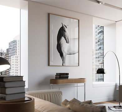 Bespoke framed black-and-white portrait of a Lusitano horses displayed in a luxury interior, photographed by Vieten Images, Elisabeth Vieten