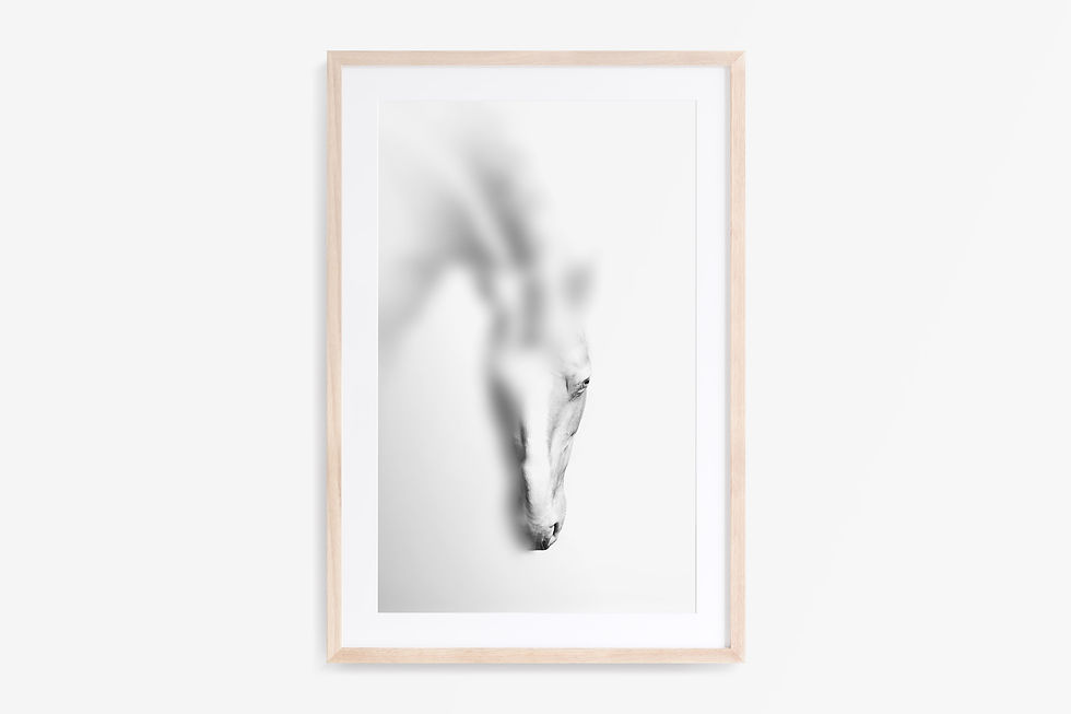 Miniaturbild: Levitate