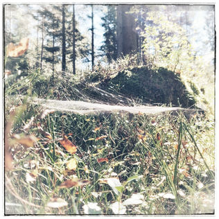 20210904_123448-01.jpeg