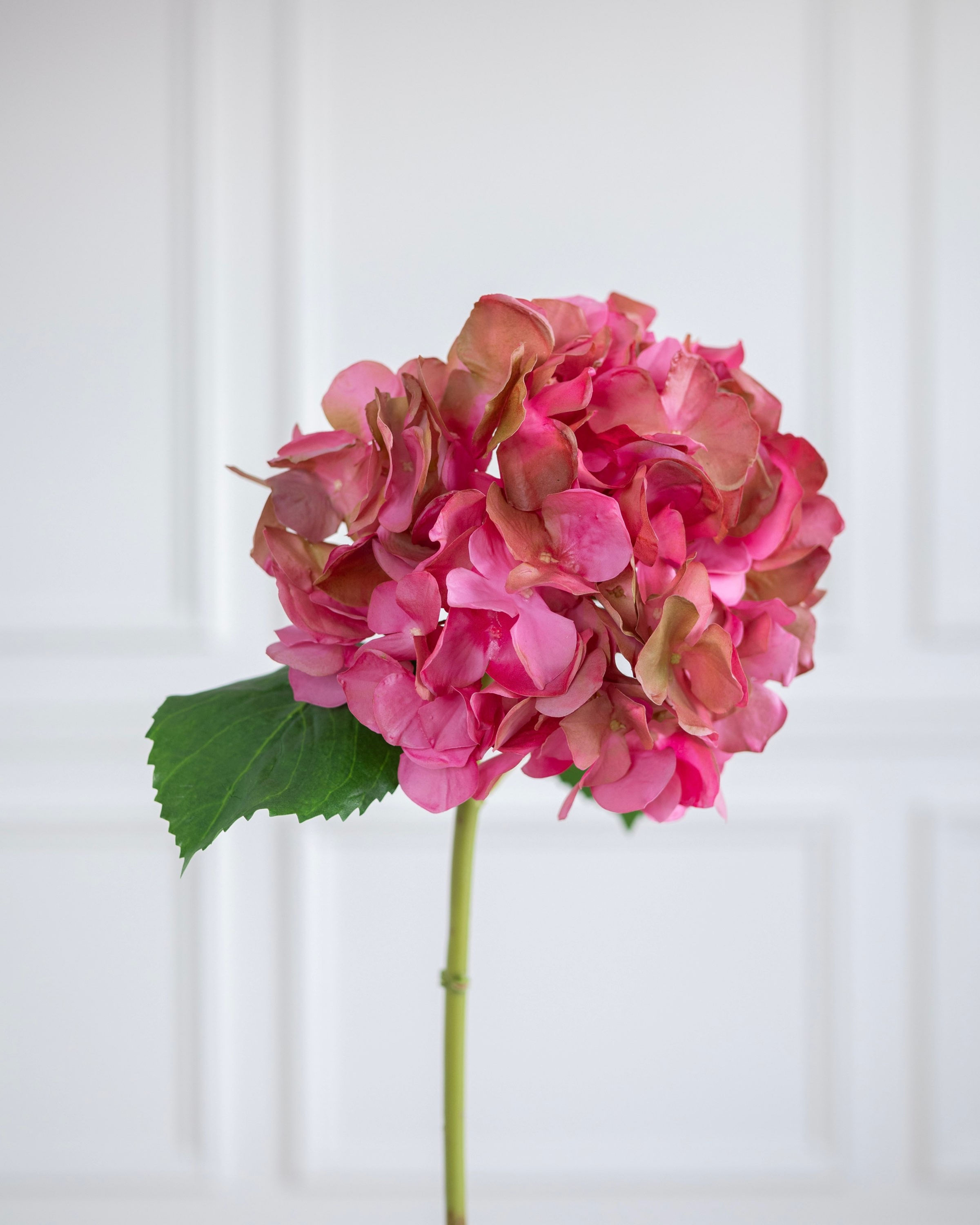 Heidi Hydrangea Mauve (organic touch)