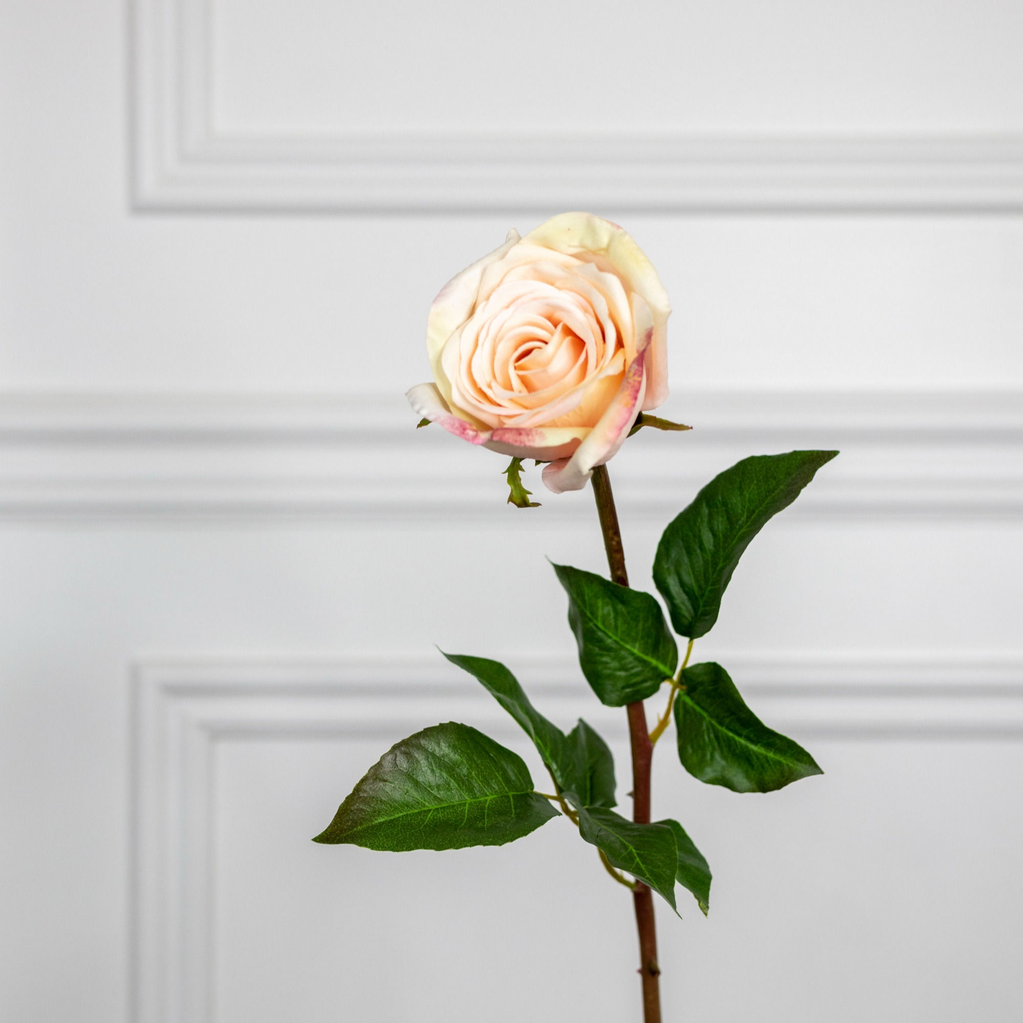 Julia Rose in Blush (organic touch)