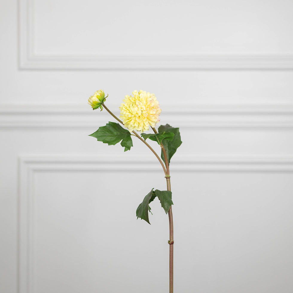 Thumbnail: Candy Dahlia in Lemonade