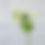 Thumbnail: Zara Ranunculus Arrangement (White)