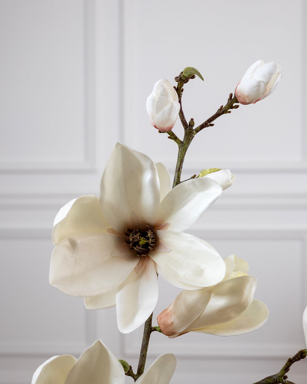 Thumbnail: Madison Magnolia  Branch 35”
