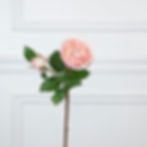 Thumbnail: Nora Rose in Pink (organic touch)