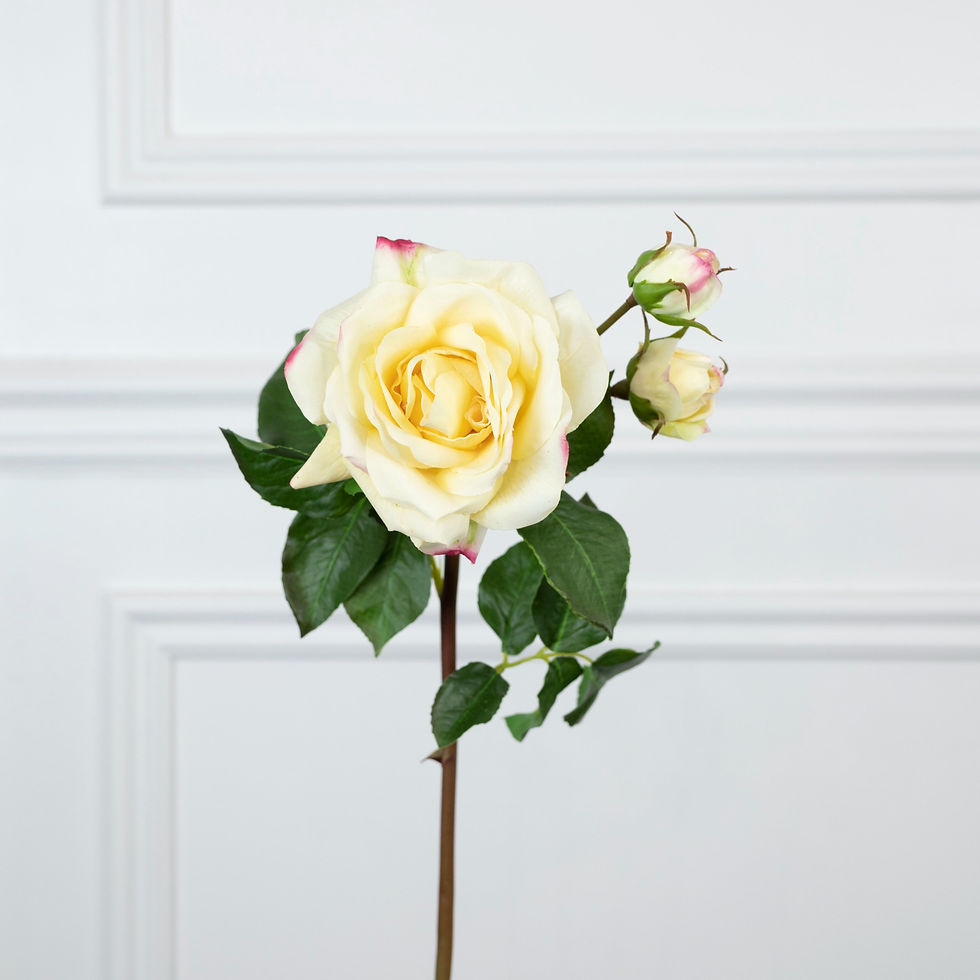 Thumbnail: Pastel Yellow Roses Arrangement