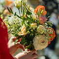 5A0A5388_edited.jpg