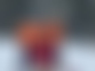 Medically retired Navy nurse finds healing on the ski slopes