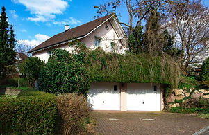 Einfamilienhaus, Münchwilen TG.jpg