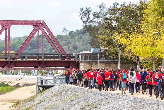 caminhada do balonismo.webp