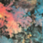 Thumbnail: Roberto Cavalli SS99 coral reef jeans
