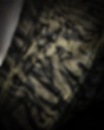 Thumbnail: ROBERTO CAVALLI PSYCHEDELIC LAYERED MESH BLAZER JACKET