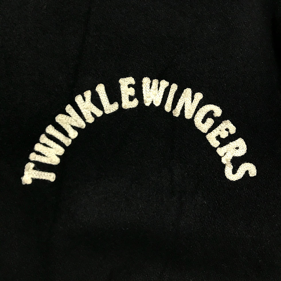Thumbnail: PPFM 80s Twinkle Wingers varsity jacket