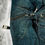 Thumbnail: ARMANI JEANS ADJUSTABLE BONDAGE CARGO PANTS