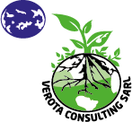 logo verota repik vect BD