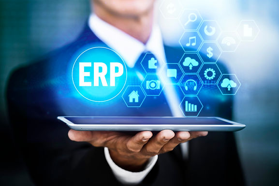 erp-development-davzon