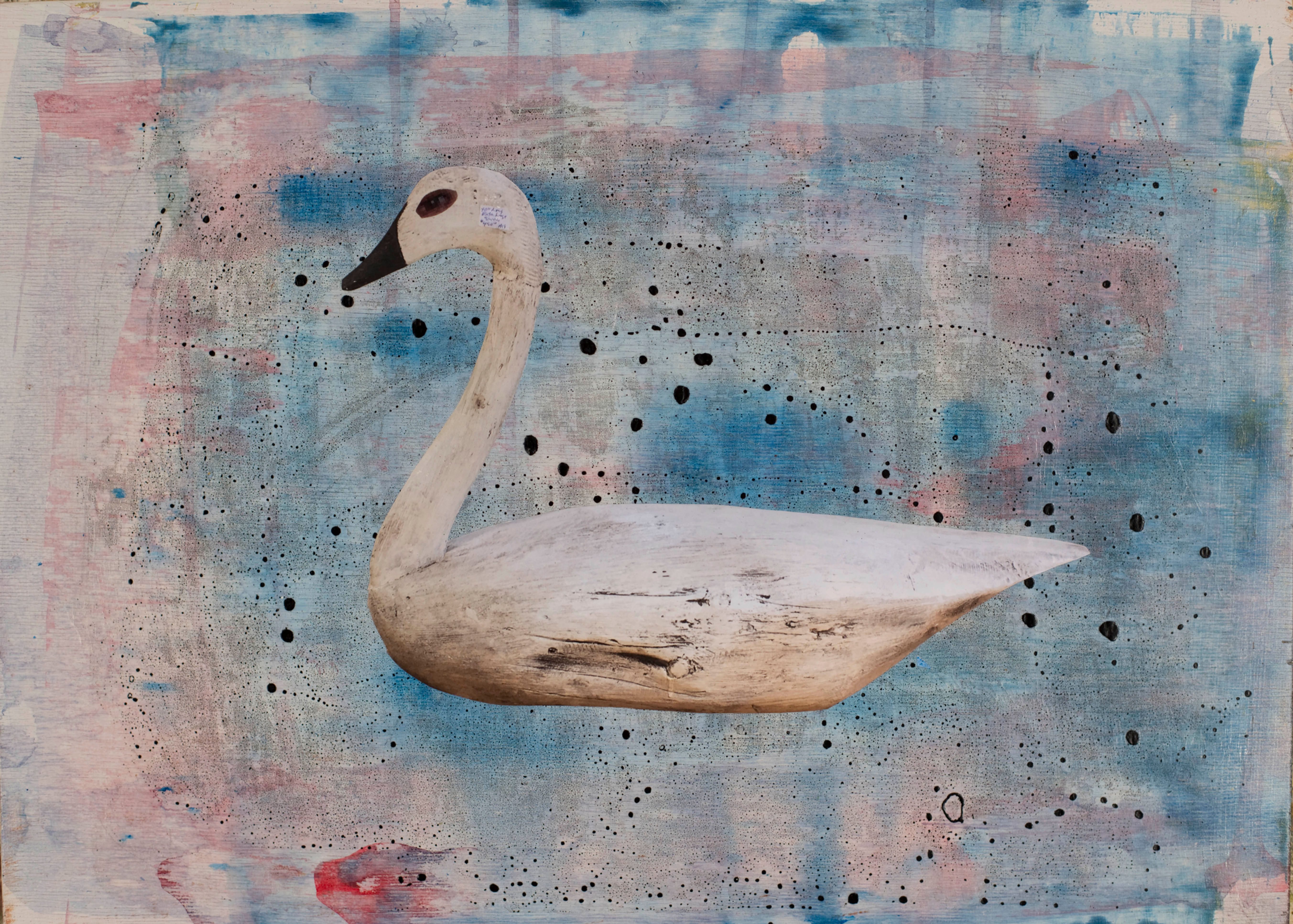 Swan with Blue(and Spots)