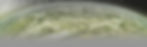 Project Earth-3a-bicolor_1600.jpg