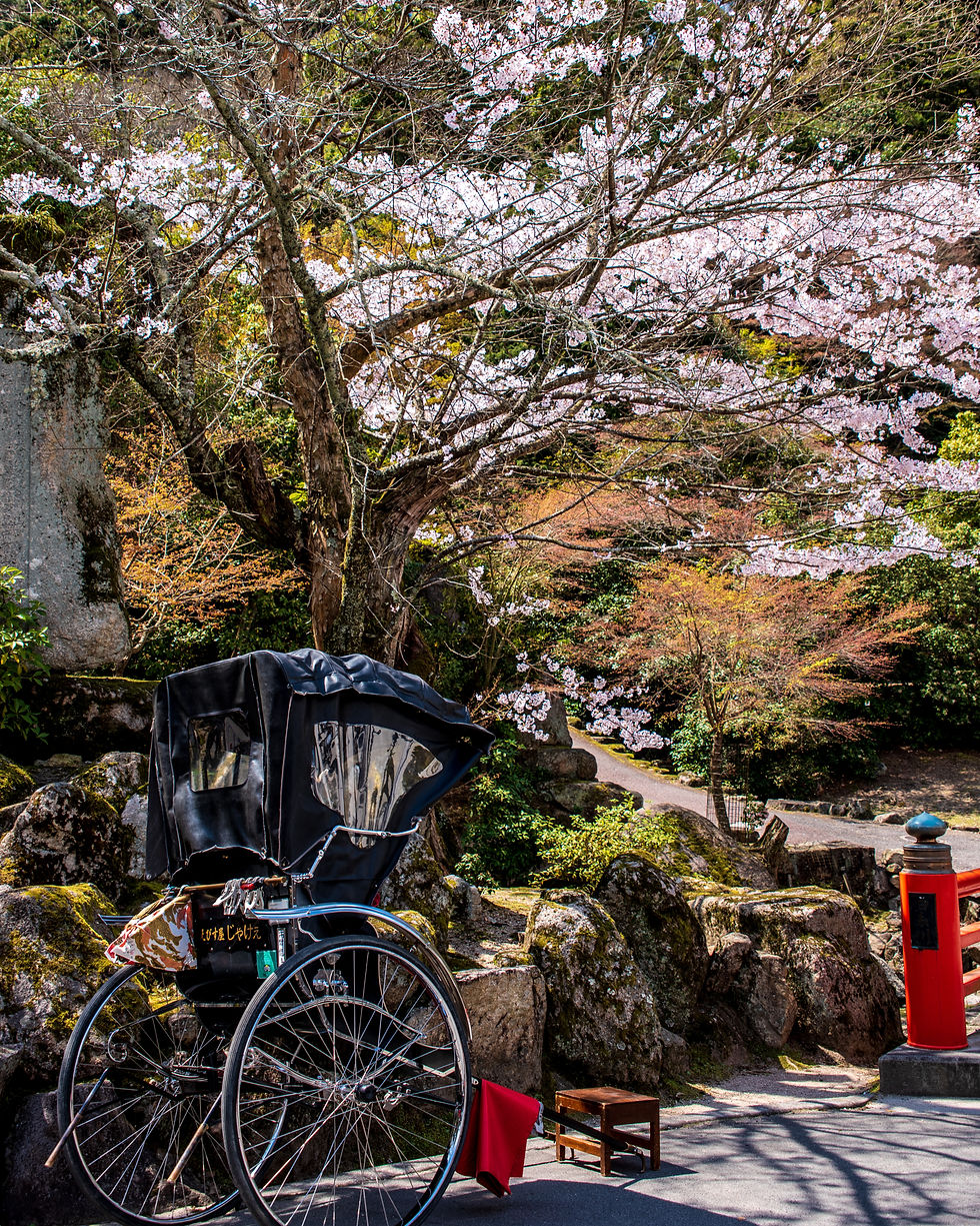 DSC_3102_Japan.jpg