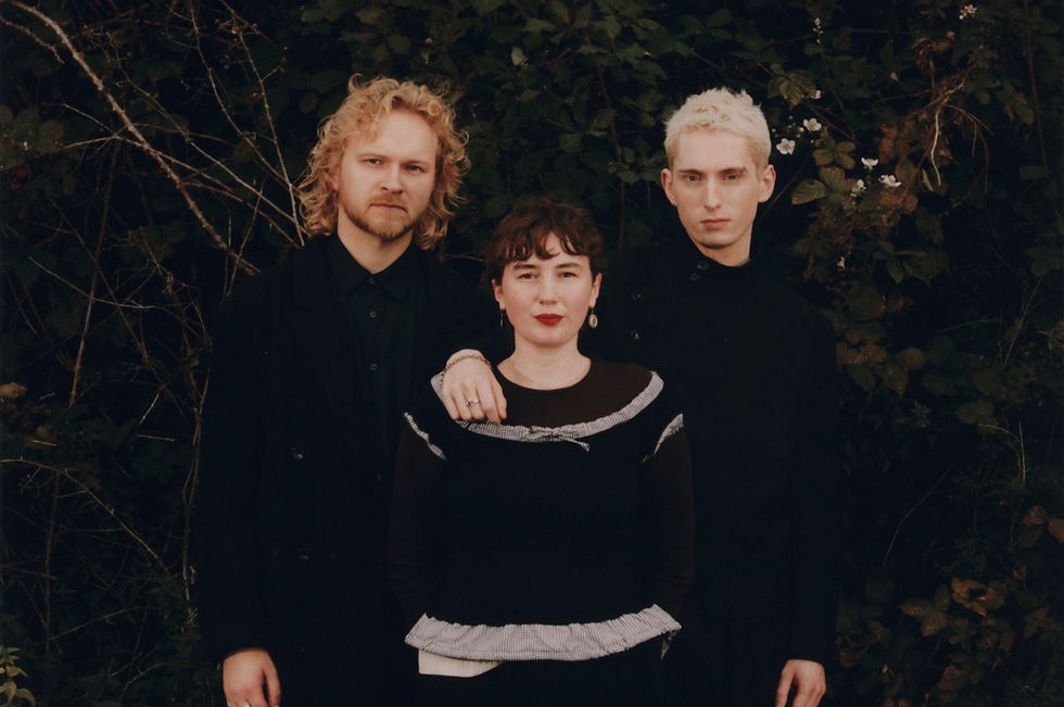 deary Birding interview 2026