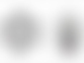 Root system of dodecahedron E8 lie group