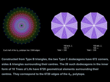 tree of life superstring theory part 14
