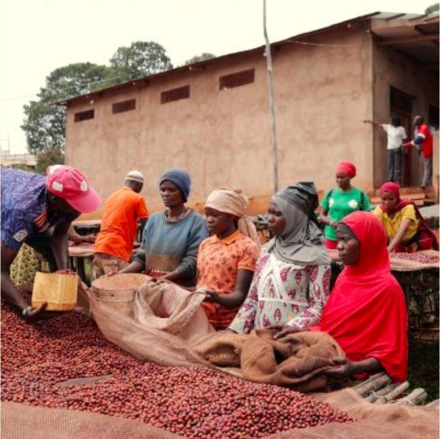 Thumbnail: burundi - natural