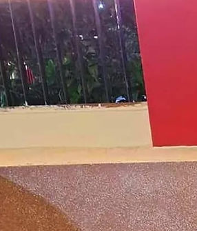 WhatsApp Image 2025-01-06 at 05.04.26_423bee9b.jpg