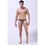 Miniatura: Tanga Masculina Leopardo Starsex