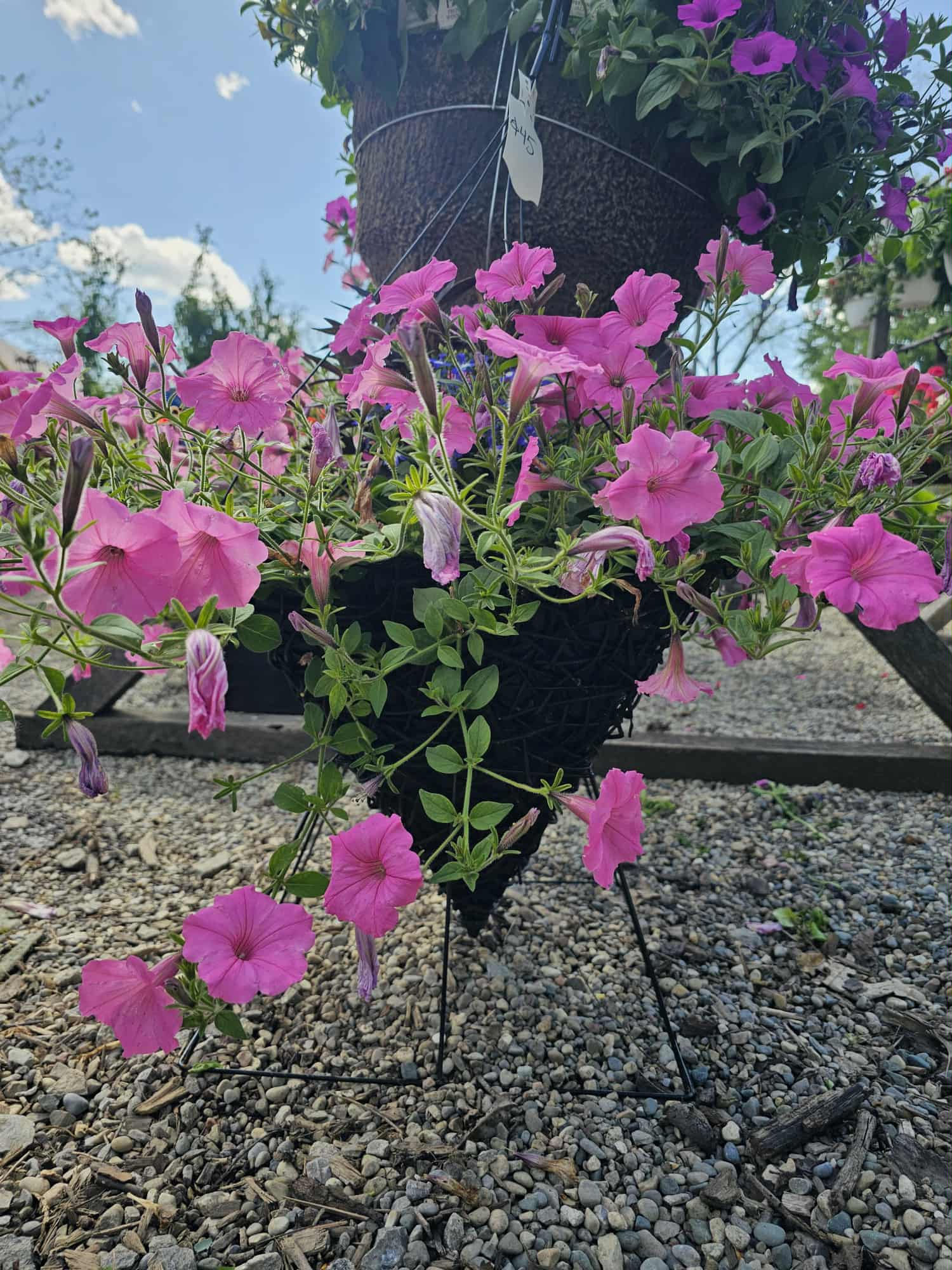14"Wicker Cone Hanging Basket