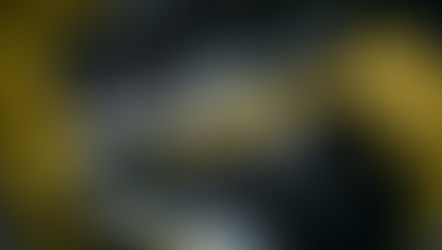 Novas imagens do Air Jordan 4 “Black Canvas”