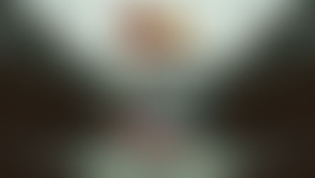 adidas Originals = Pharrell Williams x Nigo Friendship Pack chega ao Brasil