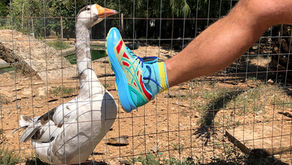 ASICS revela mais um modelo da collab com búlgaro Kiko Kostadinov