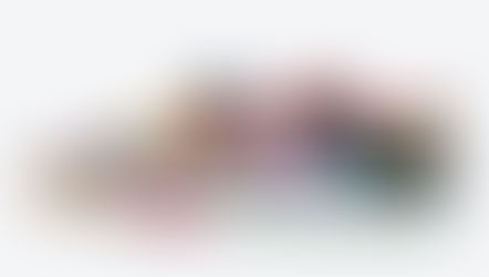 Data de lançamento do Nike SB Dunk Low "What The P-Rod" no Brasil