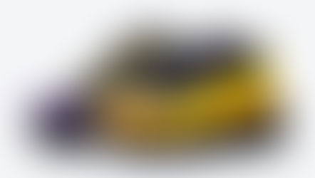 Essa versão do Nike Air Max 95 homenageia Lebron James