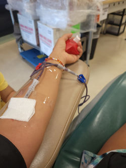 8-29 Blood donation (2)