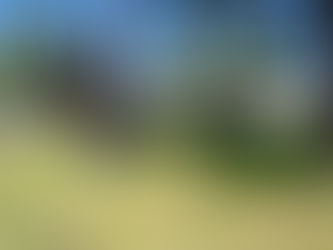 Listing- 1860 McDonald Rd Campbell River