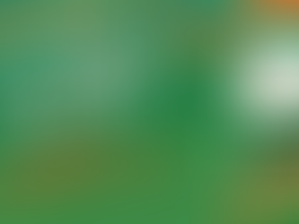 New Listing – 1580 19th Ave. Campbell River BC