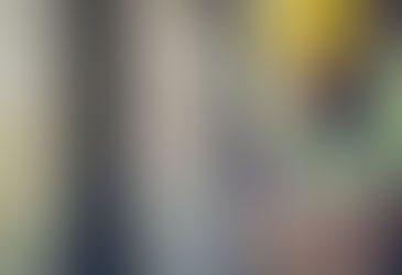 Remodeling That Pays