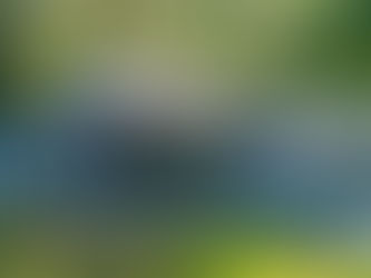 3134 York Road- Campbell River