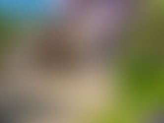 Listing- 514 Nebraska Drive, Campbell River