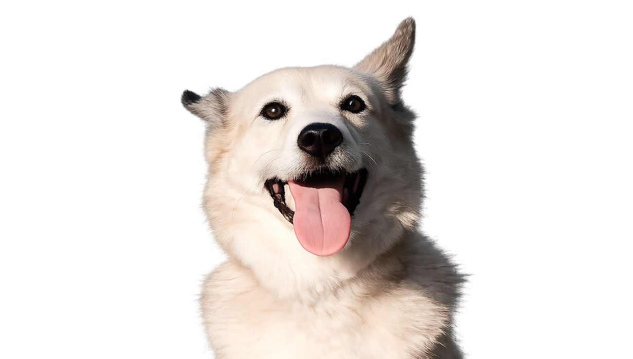 ChatGPT Image 29 Απρ 2026, 01_32_09 μ.μ..png