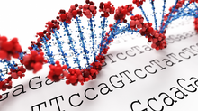 HUMAN enters the Field of Molecular Diagnostics: System for Decentralized Viral Load Testing launche