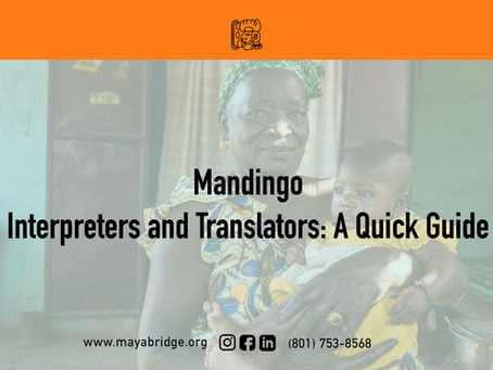 Mandingo Interpreters and Translators