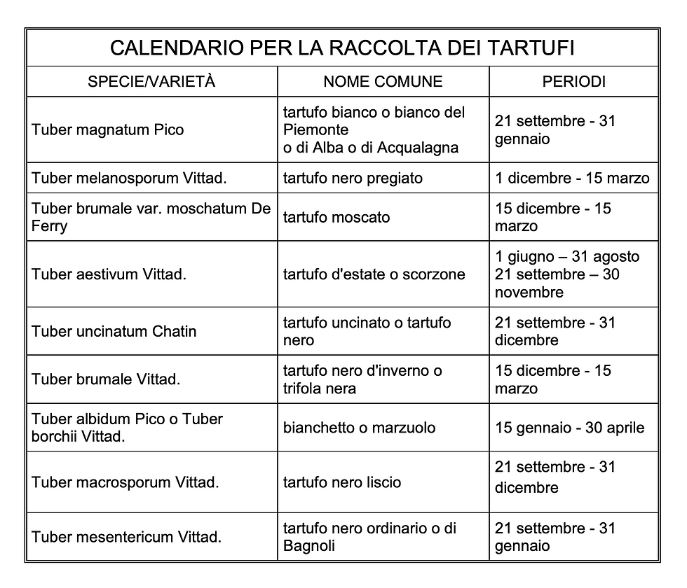 Tartufo Bianco Pregiato Comuni del Monferrato - il calendario della Regione Piemonte