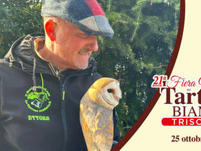 21^ Fiera Nazionale del Tartufo Bianco a Trisobbio