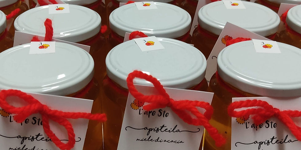 L'Ape Ste - mieli natale