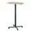 縮圖：▼ Passport Work Table
